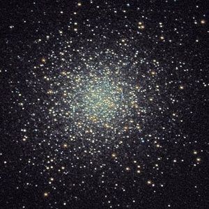 Meet your Posher, Misty